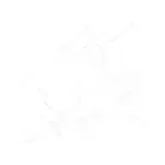 Jupiter Marbella White 40x40cm