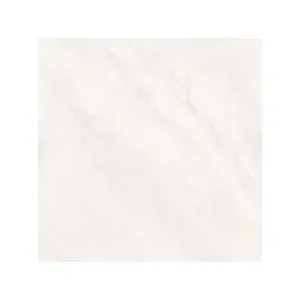 Fino T63720 Marble Light Grey 60x60cm