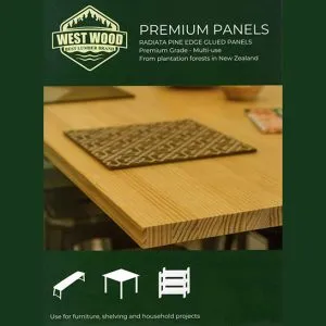 Westwood Solid Clear Panel - Image 2