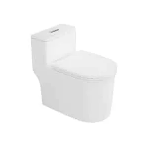 Cool New Agora 1-pc Siphonic Watercloset