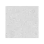 Shape Omnia Silver Matt 60x60cm