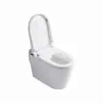 Cool Atlas Intellet 1-pc Watercloset