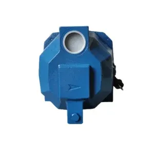 COOL Shallow Water Pump 2HP