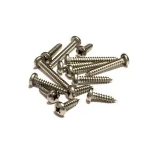 Self Tapping Screw (100pcs/pack)