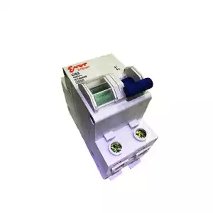 Ever Circuit Breaker Rail Type 2P 63A - Image 1