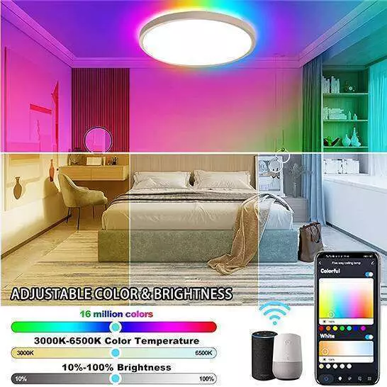 Ceiling Lights
