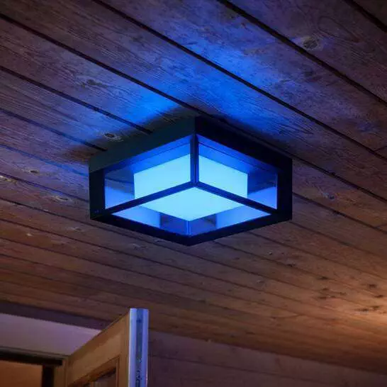 Ceiling Lights