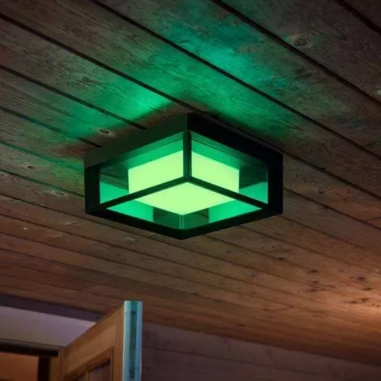 Ceiling Lights
