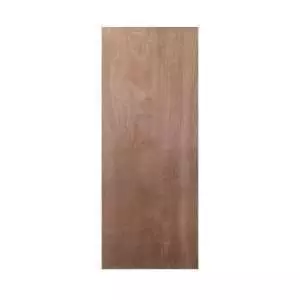 WW Plywood Door