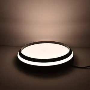 LUTEC SMART Cepa Bluetooth Ceiling Lamp Black