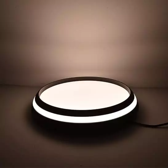 LUTEC SMART Cepa Bluetooth Ceiling Lamp Black