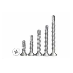 Self Drilling Screw