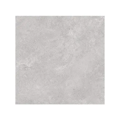 Rialto MEM SIL03N Silver Nature 60x60cm