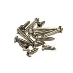 Self Tapping Screw (100pcs/pack)