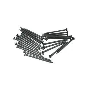 Common Wire Nails 50MM (2IN) - Image 1