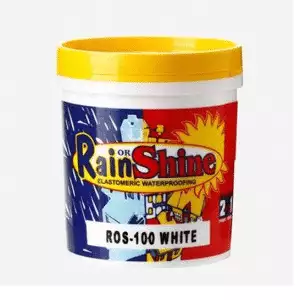 Welcoat 100 Rain or Shine White 4L - Image 1