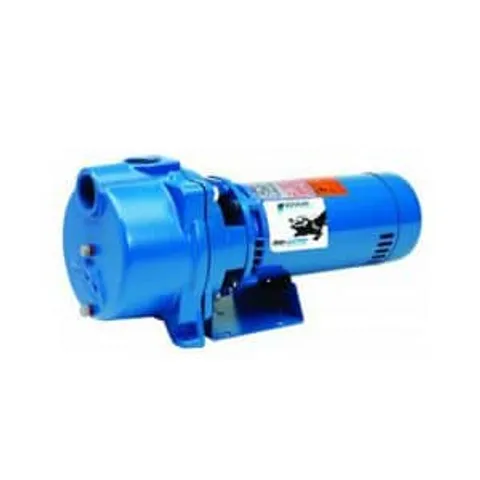 Goulds Pump GT20 Centrifugal 2HP - Image 1
