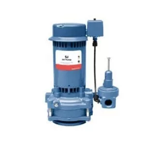 Goulds Jet Pump Vert Deepwell SJ10 1HP - Image 1