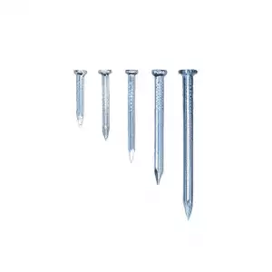 Galvanize Concrete Nails 75MM (3IN) - Image 1