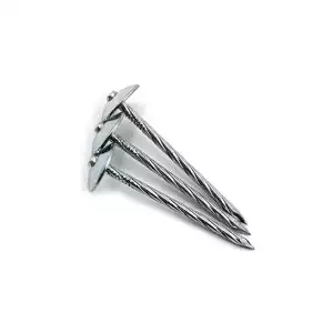 Galv Umbrella Nails Twisted 2-1/2x23kgs - Image 1